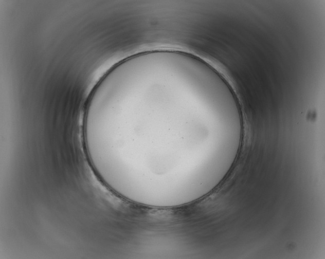 X0000112791006200909181509