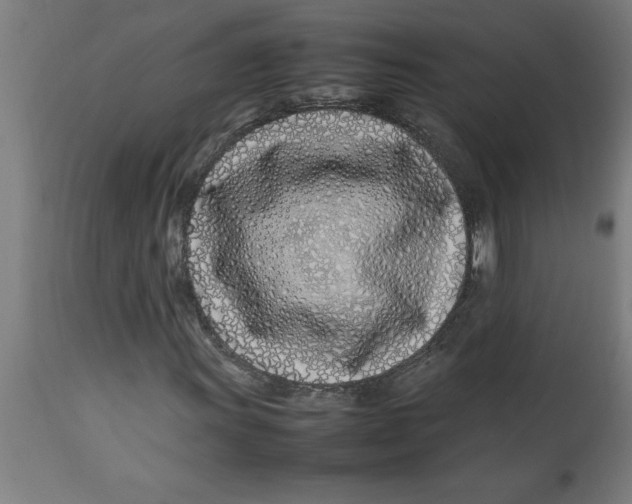 X0000112791011200909181509