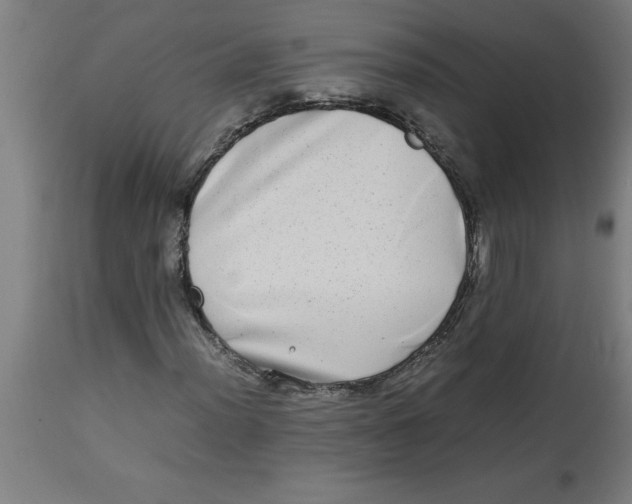 X0000112791012200909181509