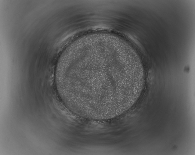 X0000112791015200909181509