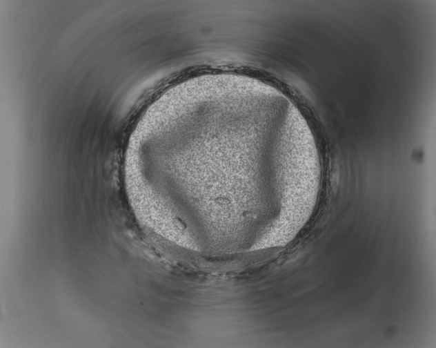 X0000112791016200909181509