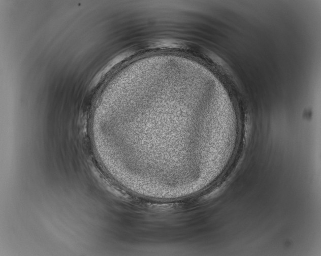 X0000112791017200909181509