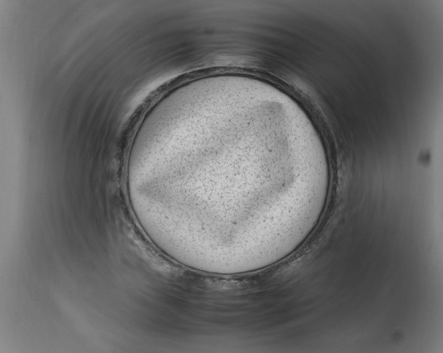 X0000112791019200909181509