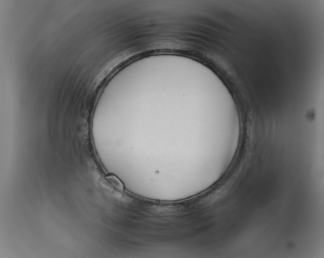 X0000112791025200909181509