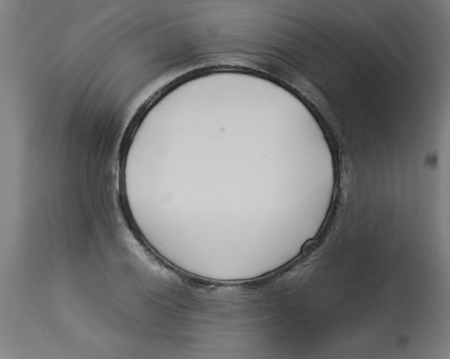 X0000112791028200909181509