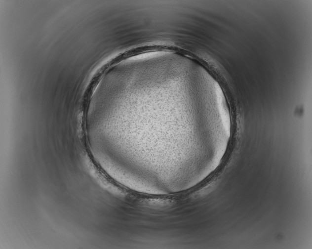 X0000112791029200909181509