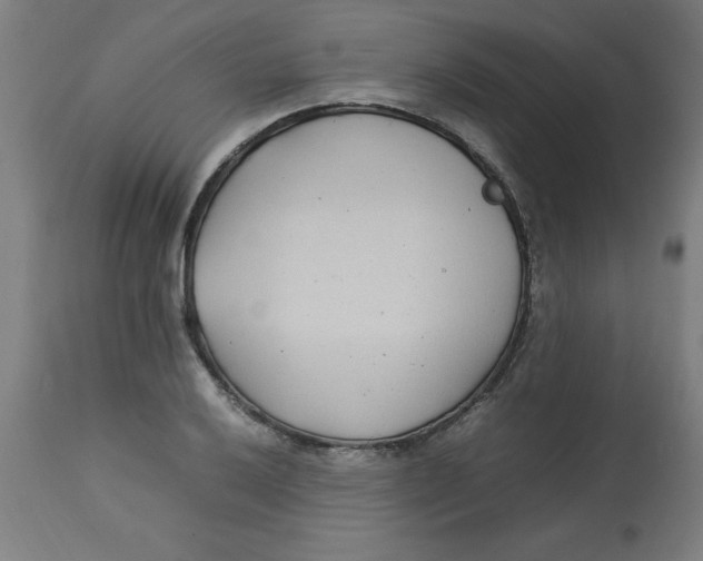 X0000112791032200909181509