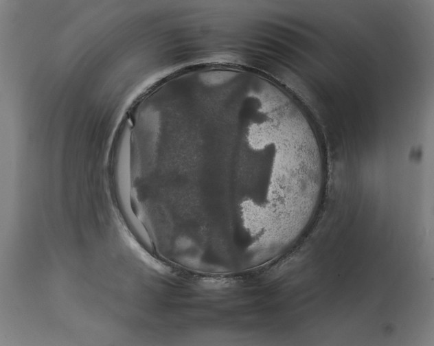 X0000112791037200909181509