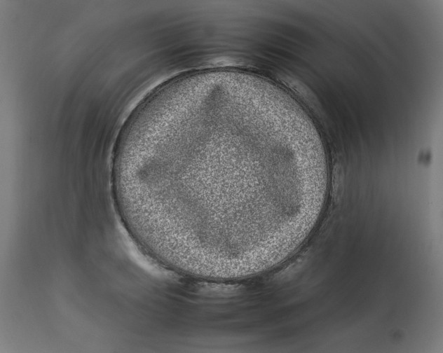 X0000112791039200909181509