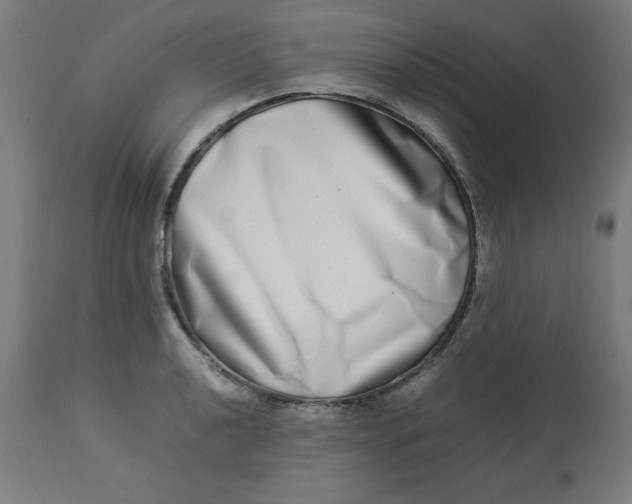 X0000112791040200909181509