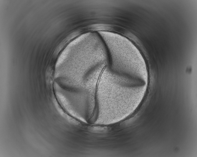 X0000112791049200909181509