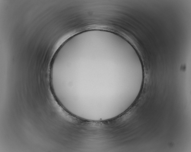 X0000112791050200909181509