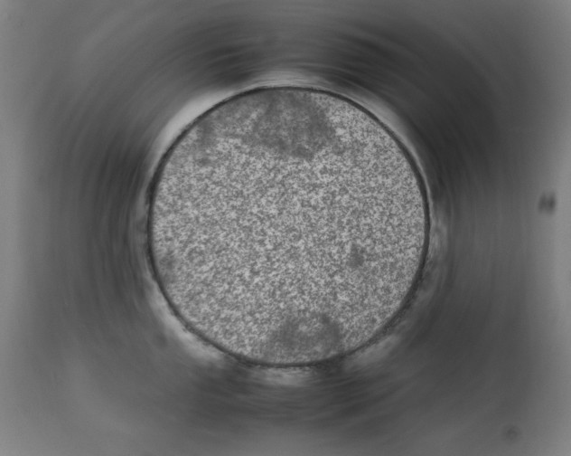 X0000112791053200909181509