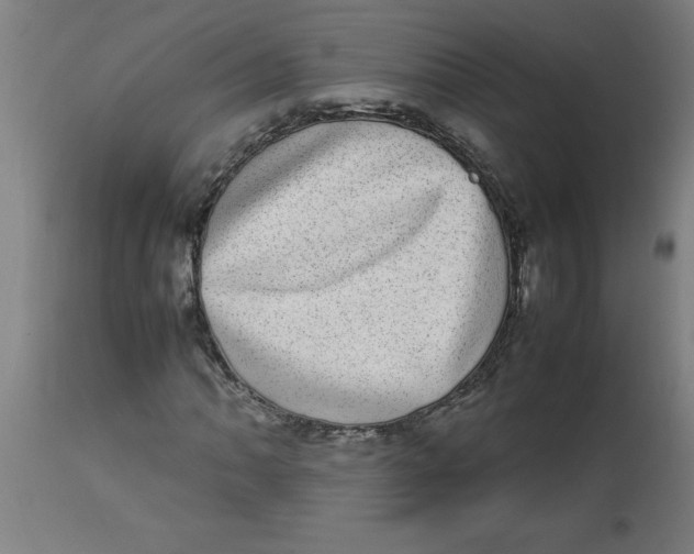 X0000112791062200909181509