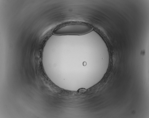 X0000112791064200909181509