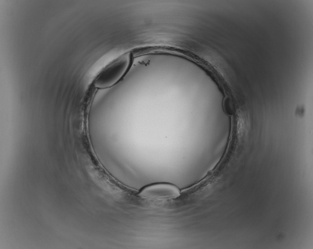 X0000112791069200909181508