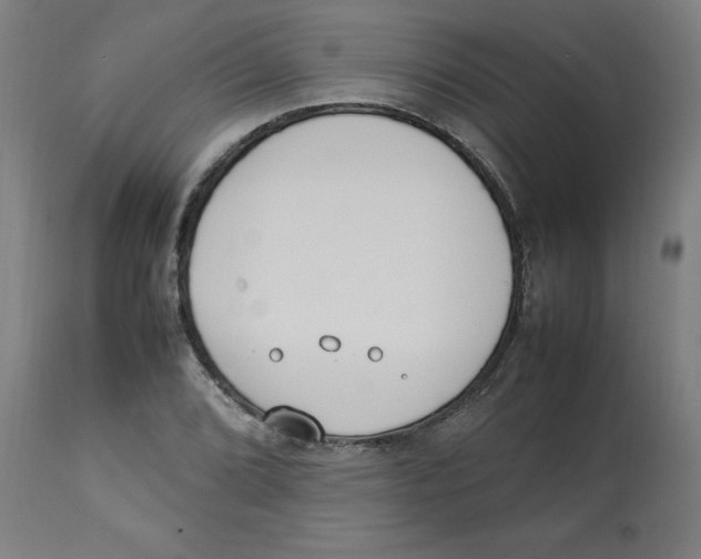 X0000112791072200909181508