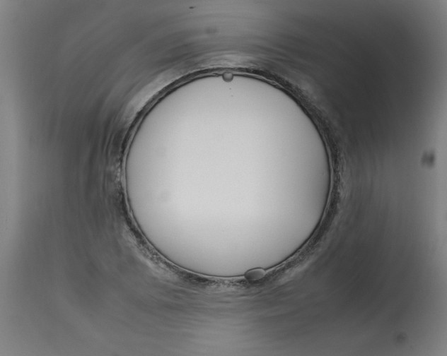 X0000112791073200909181508