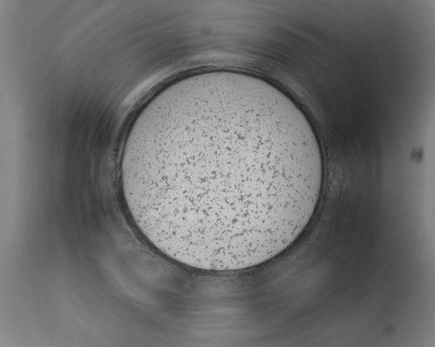 X0000112791074200909181508