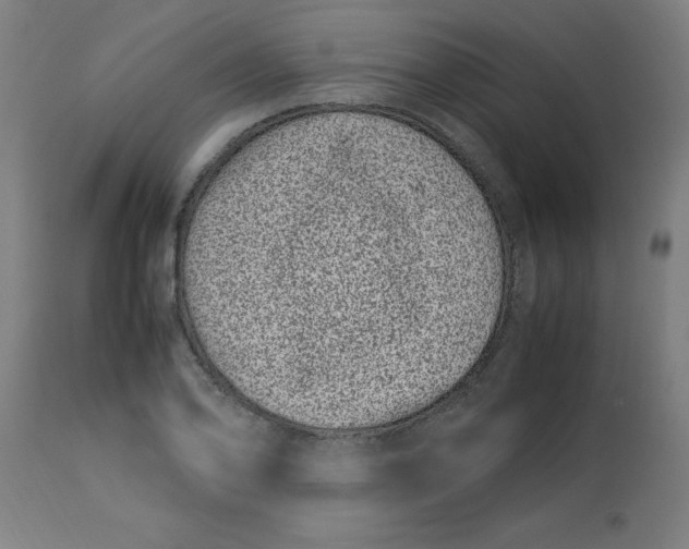 X0000112791078200909181508