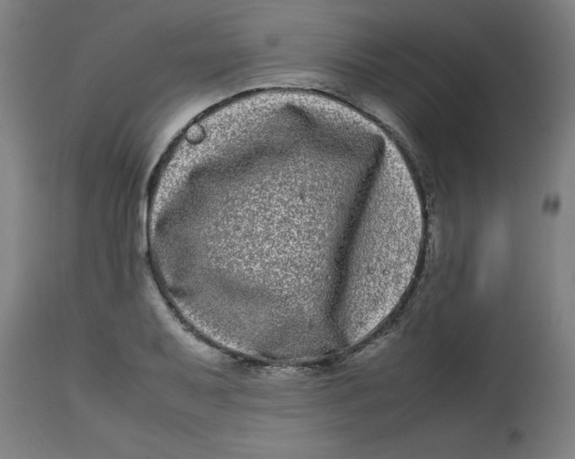 X0000112791079200909181508