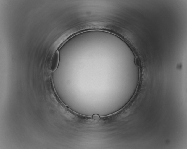 X0000112791081200909181508