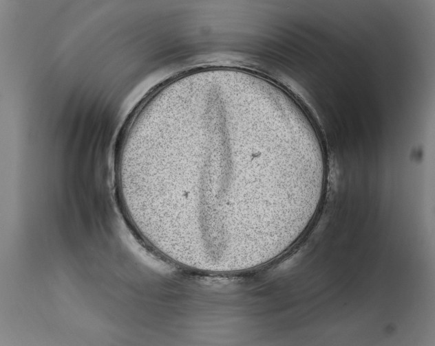 X0000112791082200909181508