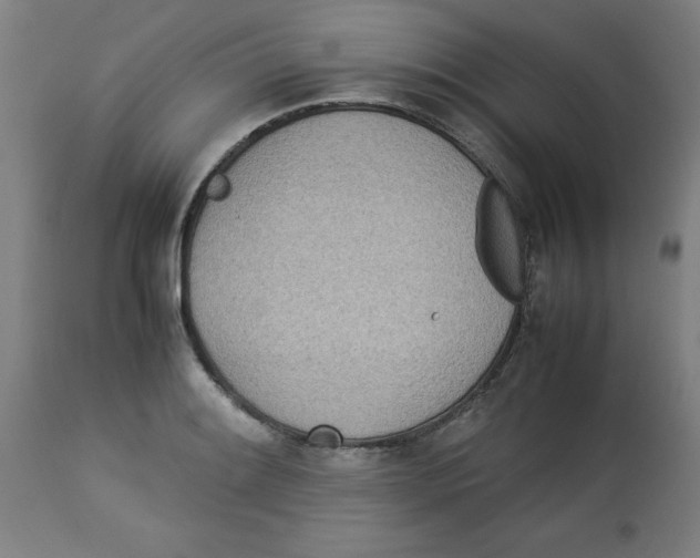 X0000112791084200909181508