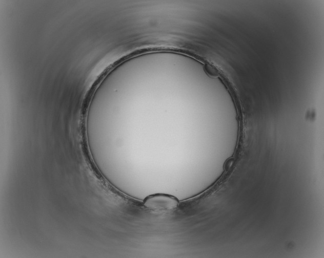 X0000112791085200909181508