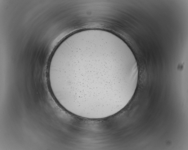 X0000112791086200909181508