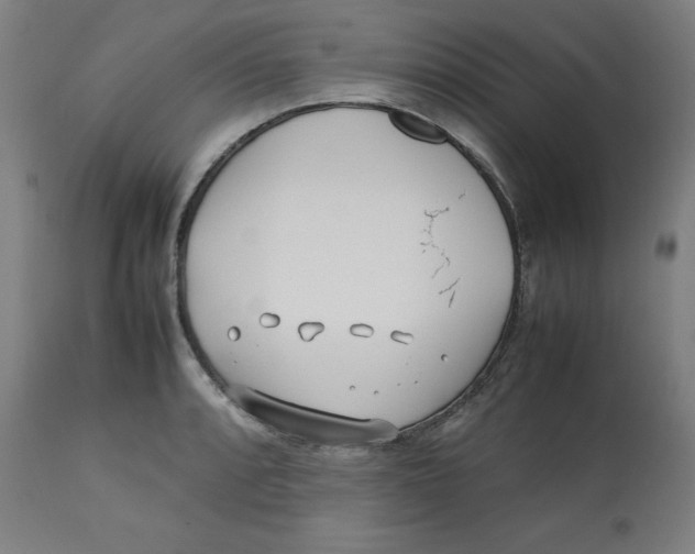 X0000112791088200909181508