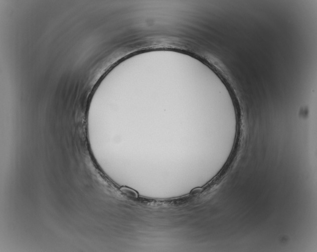 X0000112791089200909181508