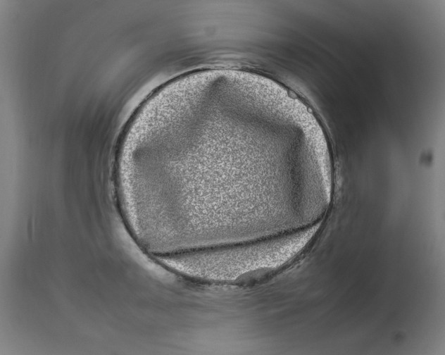 X0000112791091200909181508