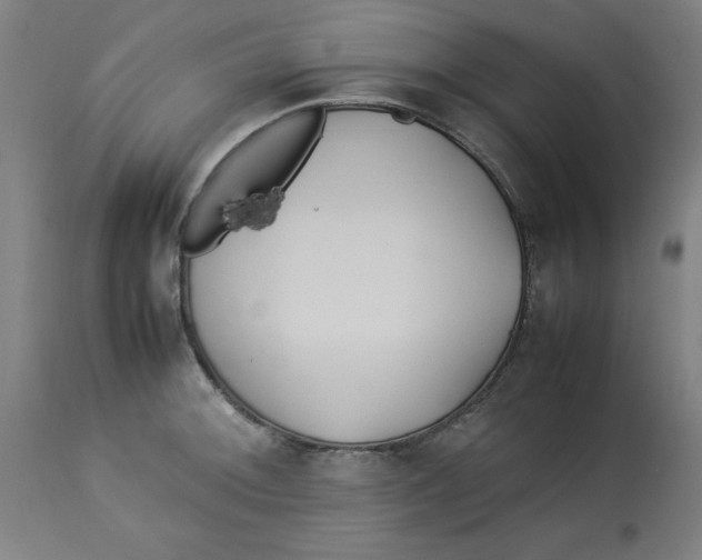 X0000112791092200909181508