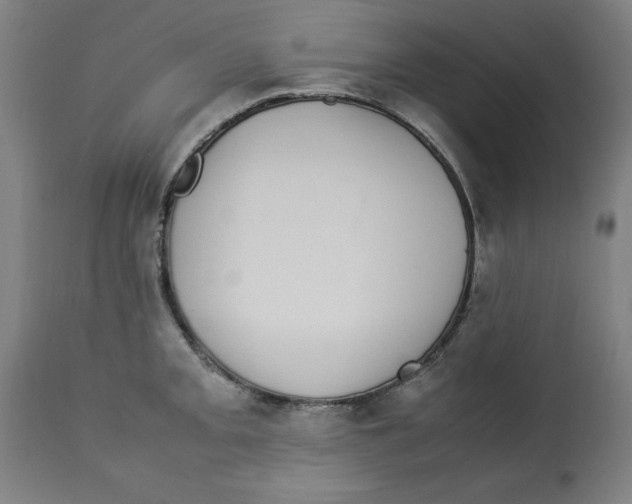 X0000112791093200909181508