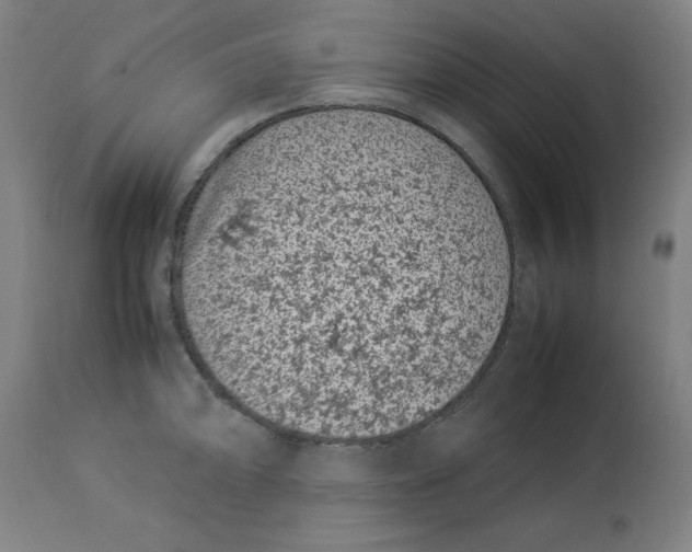 X0000112791094200909181508