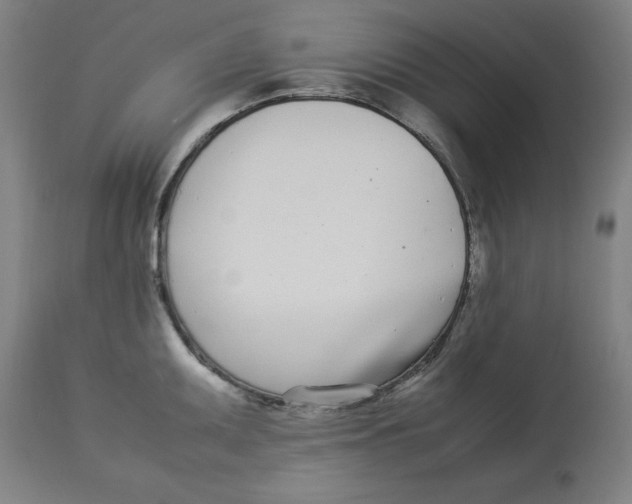 X0000112791095200909181508