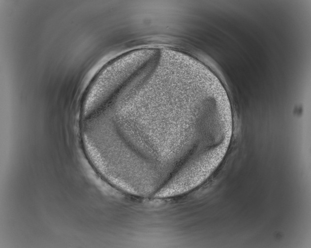 X0000112791099200909181508