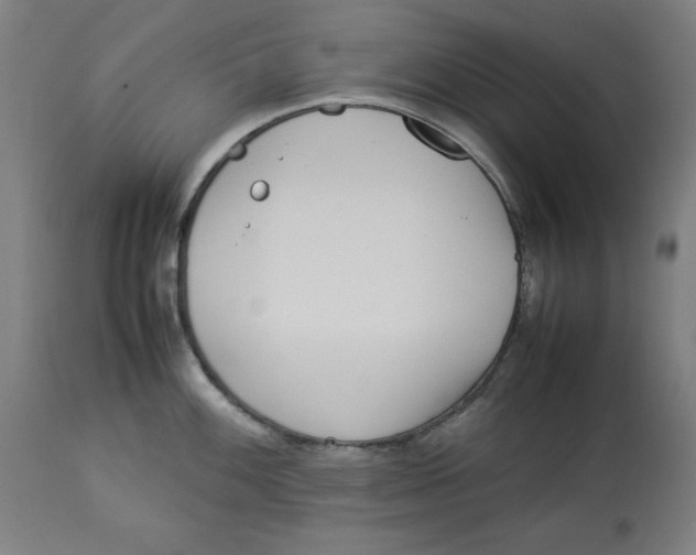 X0000112791100200909181508