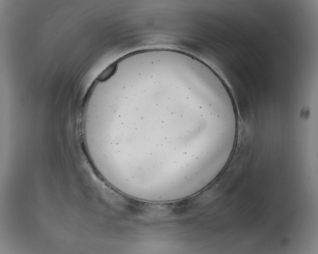 X0000112791101200909181508