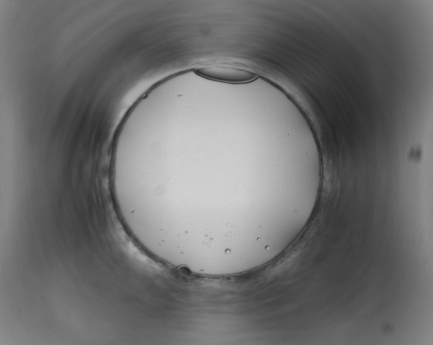 X0000112791102200909181508