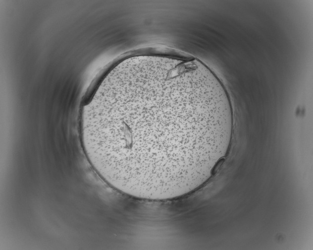 X0000112791104200909181508