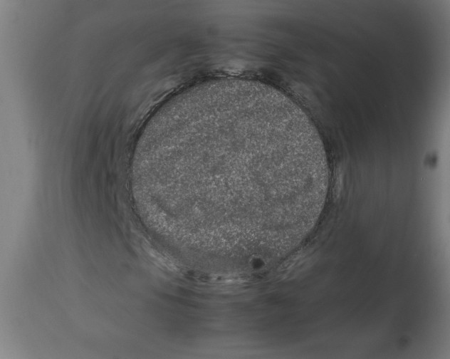 X0000112791105200909181507