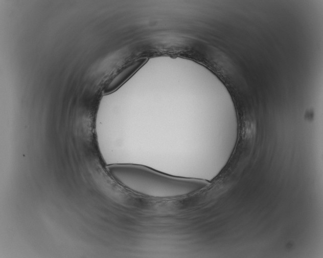 X0000112791108200909181507