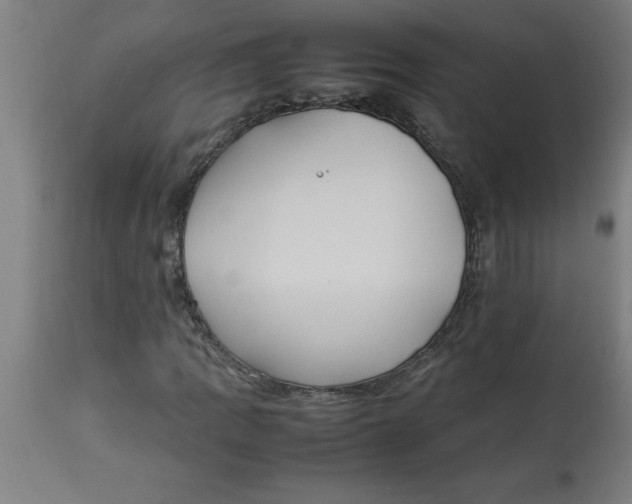 X0000112791109200909181507