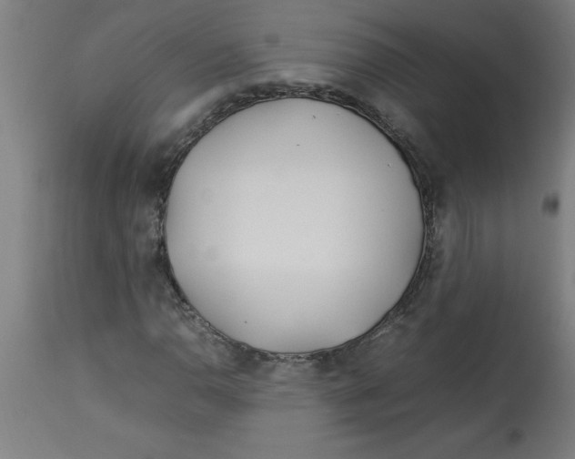 X0000112791110200909181507