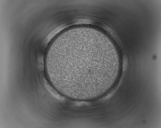 X0000112791113200909181507