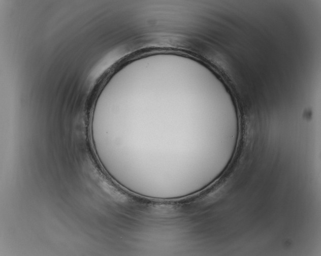 X0000112791114200909181507