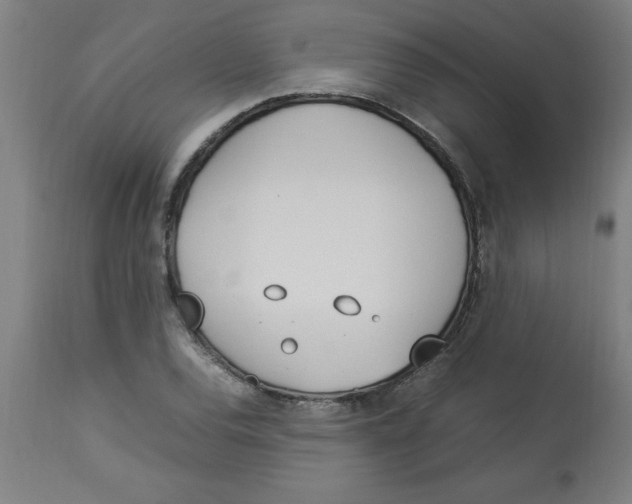 X0000112791120200909181507