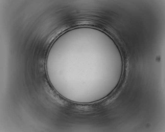 X0000112791121200909181507